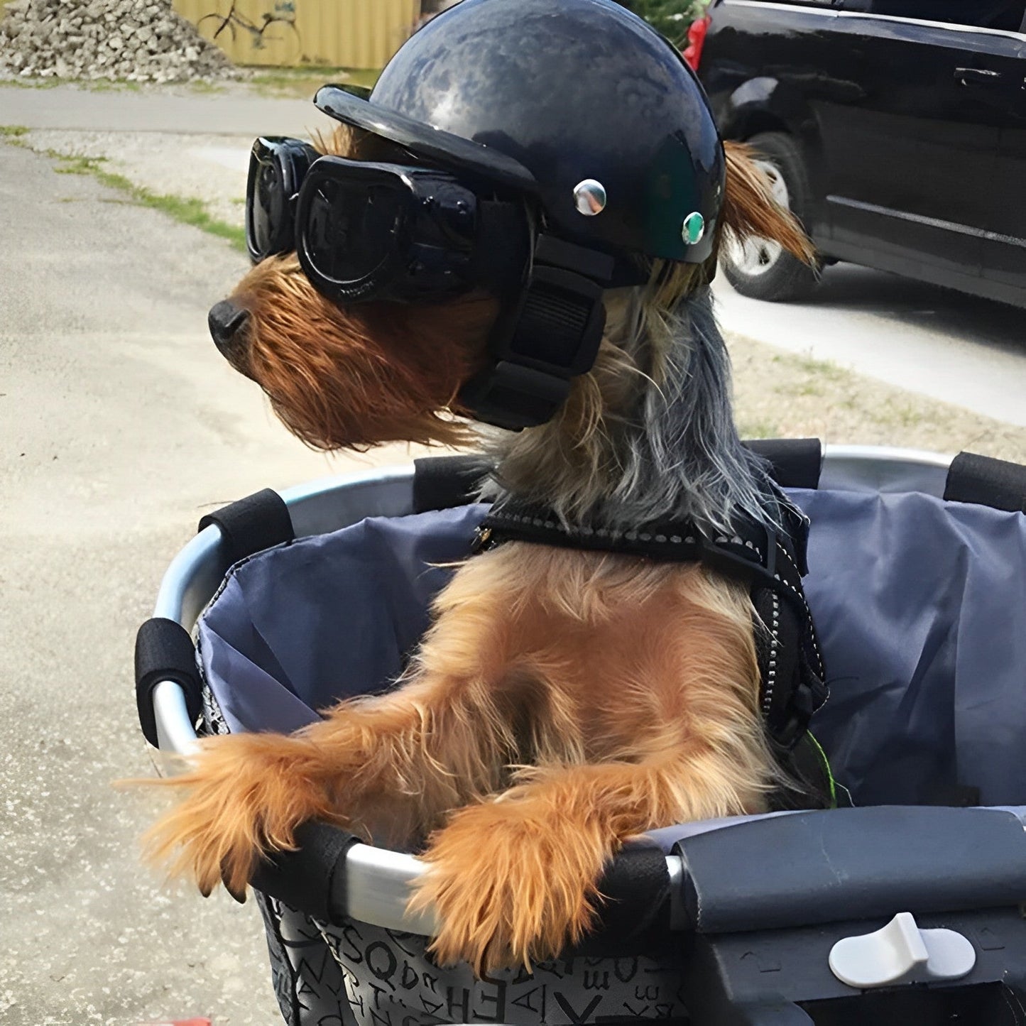 Casque et Lunettes de Moto pour Chien-LUNA