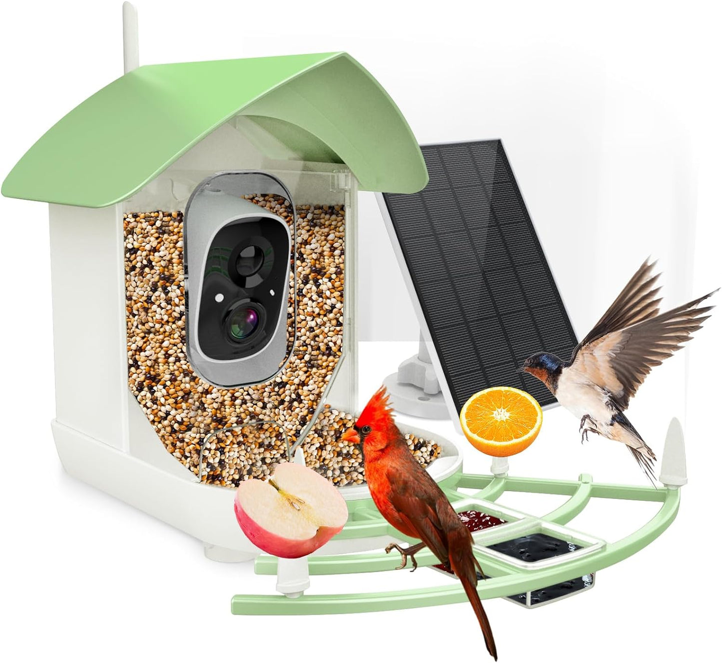 Mangeoire à Oiseaux avec Caméra Intelligente et Vision Nocturne - BirdWatch Pro