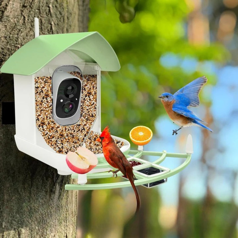 Mangeoire à Oiseaux avec Caméra Intelligente et Vision Nocturne - BirdWatch Pro