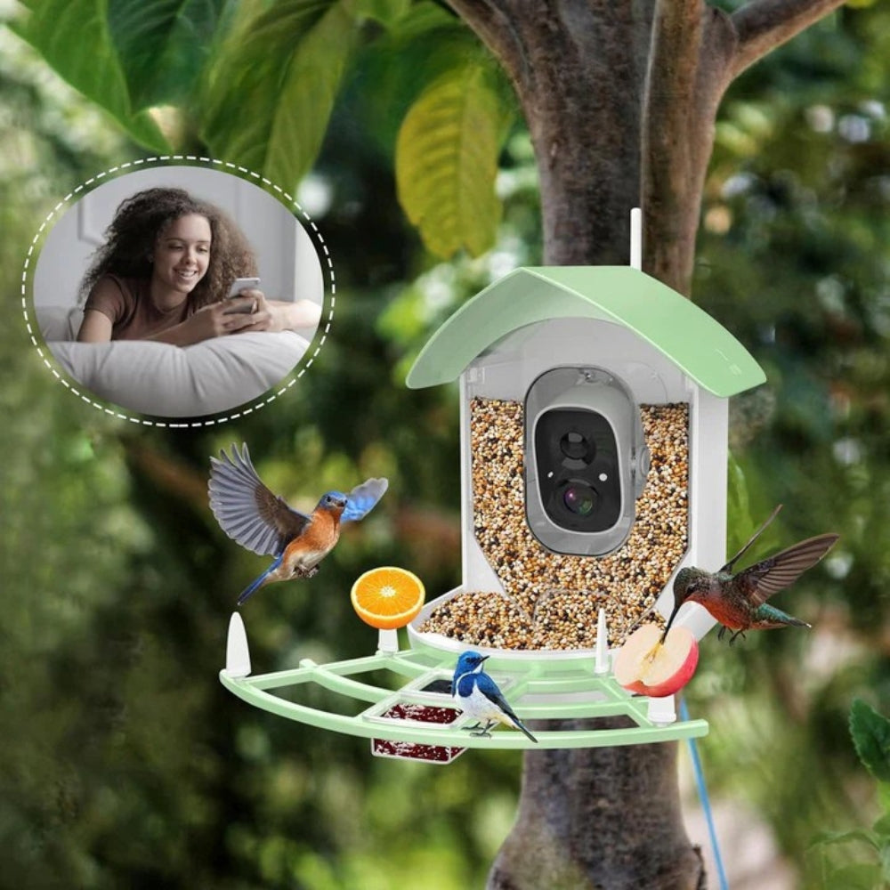 Mangeoire à Oiseaux avec Caméra Intelligente et Vision Nocturne - BirdWatch Pro