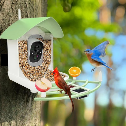 Mangeoire à Oiseaux avec Caméra Intelligente et Vision Nocturne - BirdWatch Pro