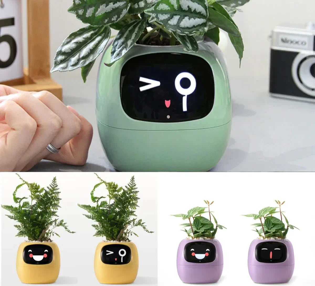 Jardinière Intelligente à Expressions Animées - GreenBot