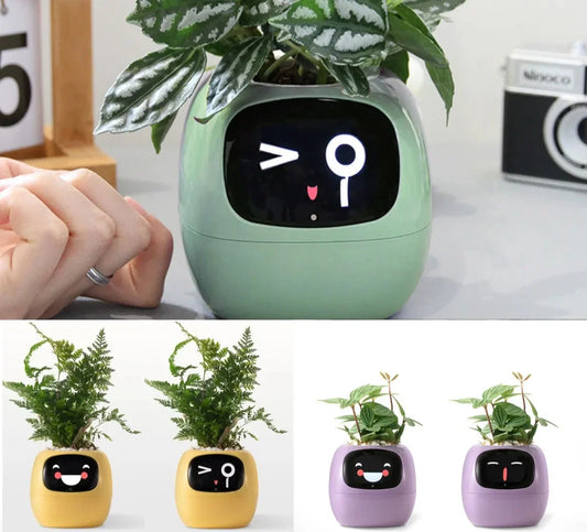 Jardinière Intelligente à Expressions Animées - GreenBot